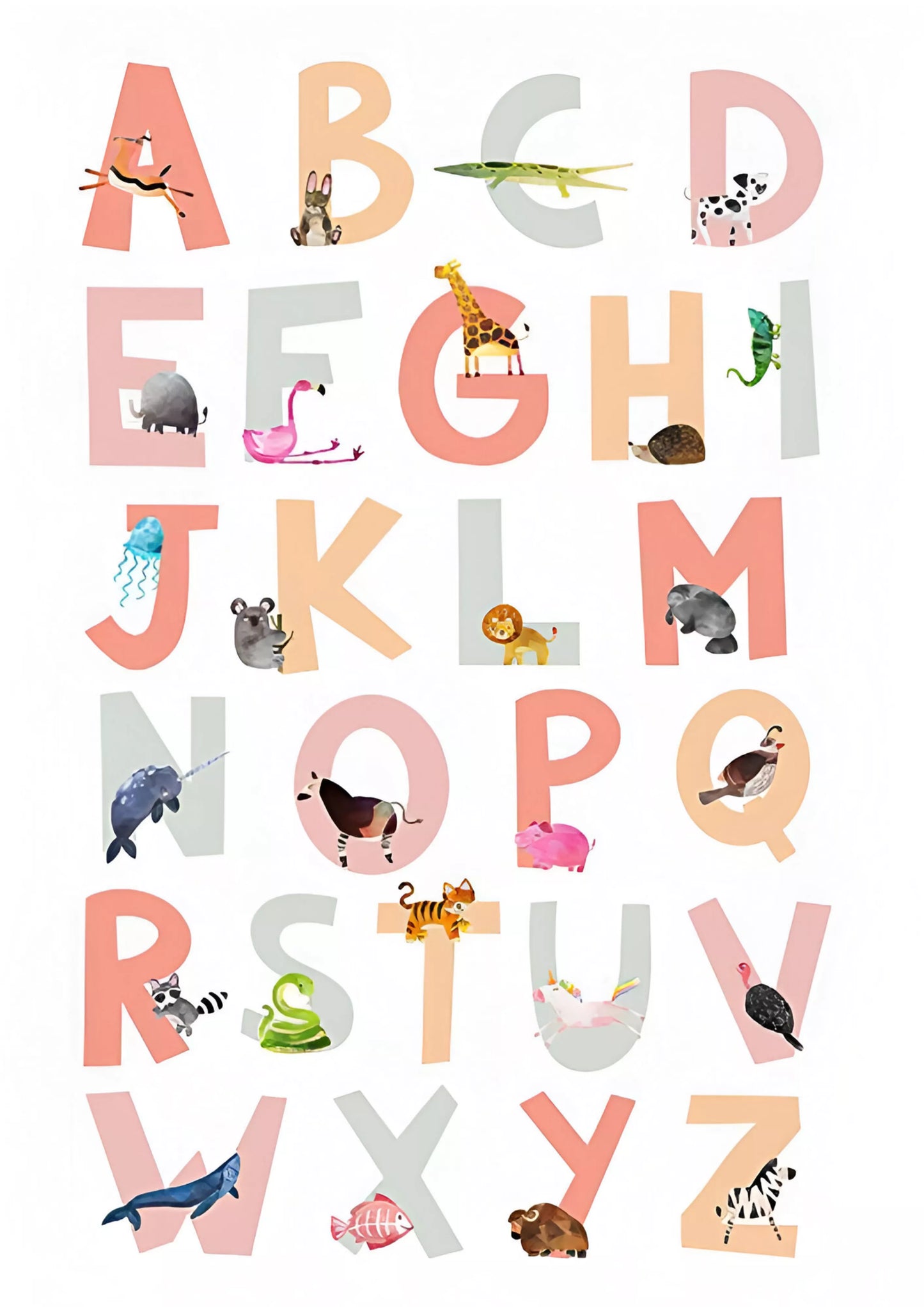 Zoological-Alphabets:-A-Whimsical-Wildlife-A4-Poster